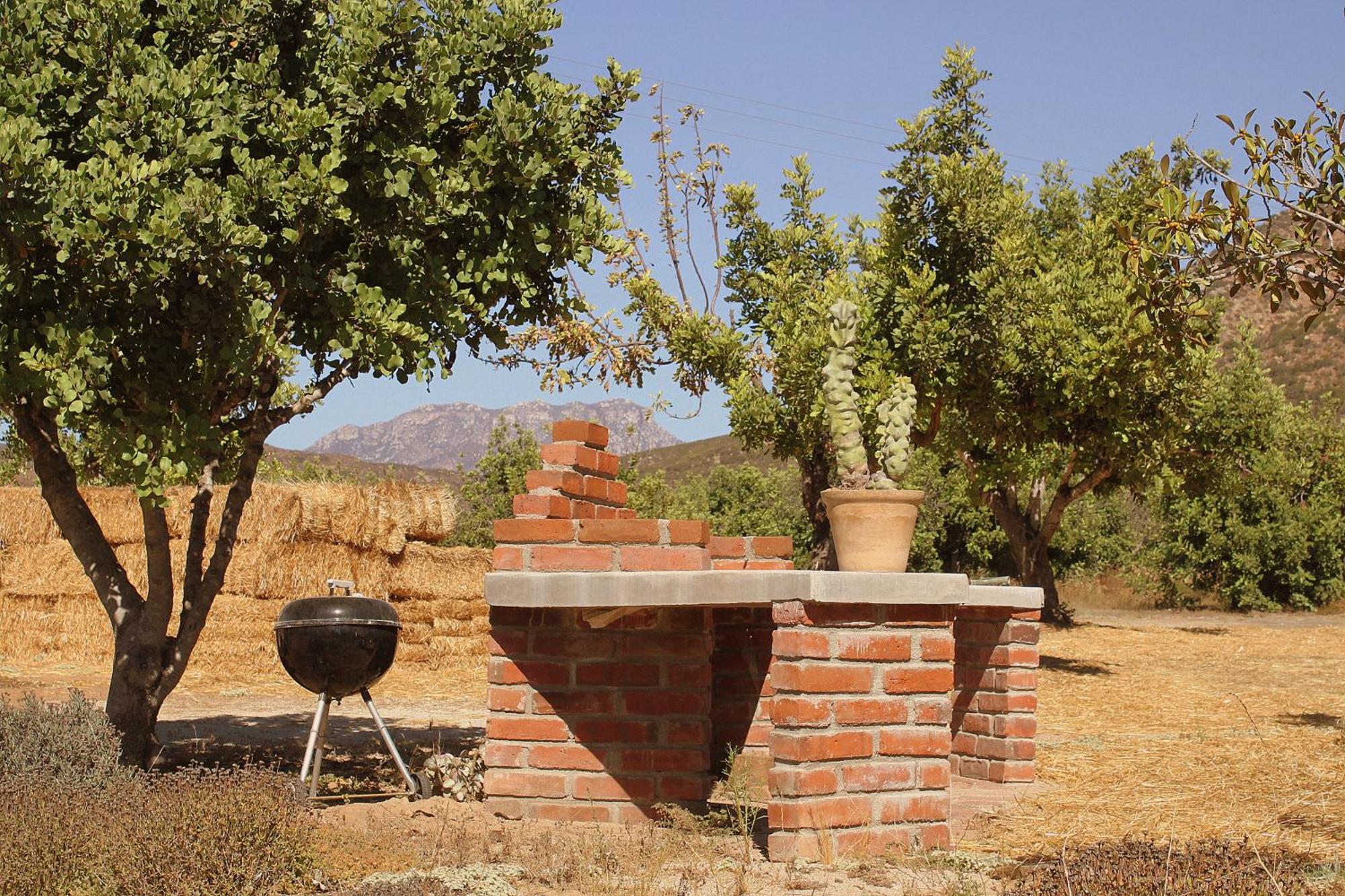 Las Orquideas Valle de Guadalupe Exterior foto
